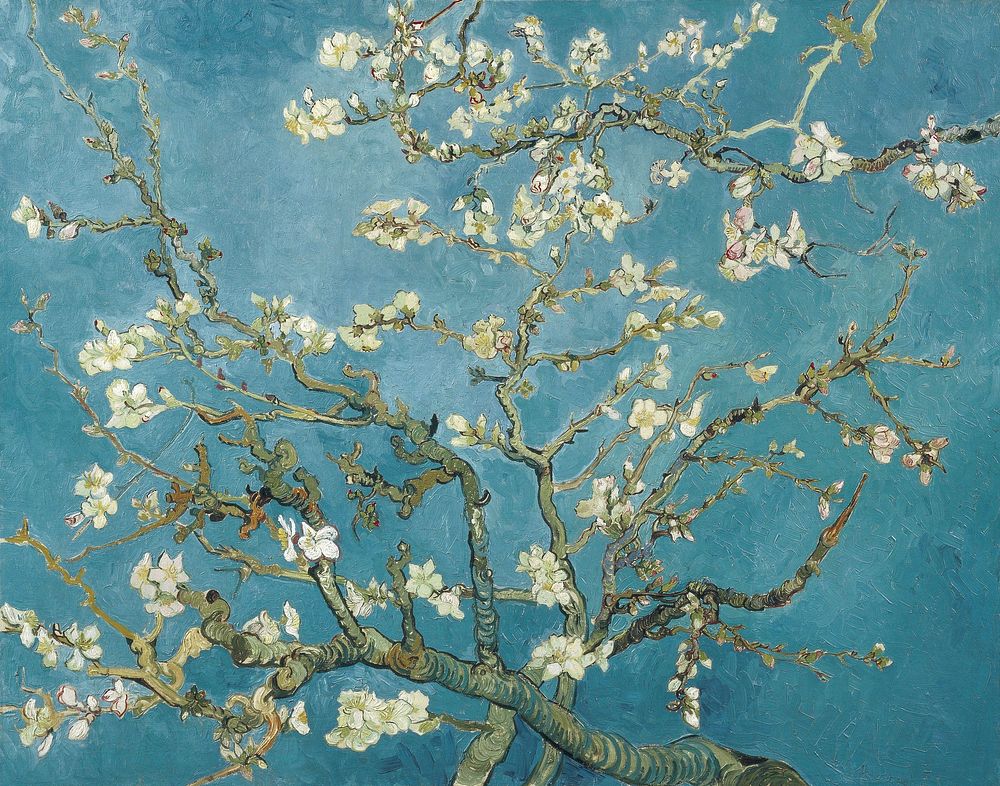 Neroli Maghribi